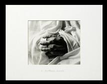 a mother's hands